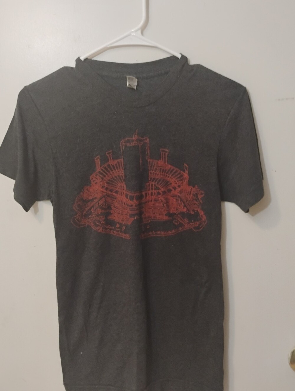 Women's Gray Graphic T-Shirt with Red Print